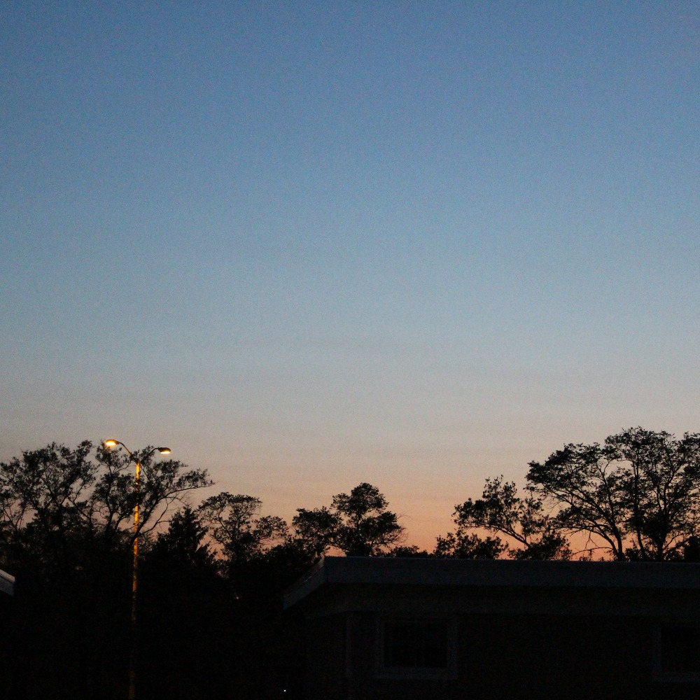 Meet your Posher, Jaz